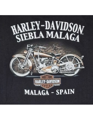 40294703 CAMISETA HARLEY DAVIDSON SIEBLA OFICIAL Grit Fall25