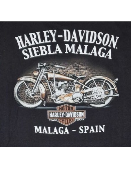 OFFICIAL HARLEY DAVIDSON SIEBLA T-SHIRT Grit Fall25