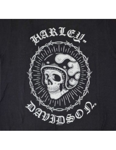 40294703 CAMISETA HARLEY DAVIDSON SIEBLA OFICIAL Grit Fall25