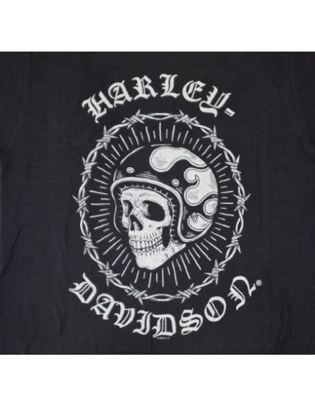 OFFICIAL HARLEY DAVIDSON SIEBLA T-SHIRT Grit Fall25