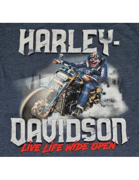 40294704 CAMISETA HARLEY DAVIDSON SIEBLA OFICIAL Strong Arm Fall25
