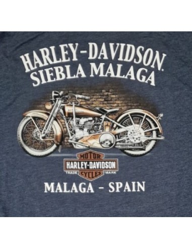 40294704 OFFICIAL HARLEY DAVIDSON SIEBLA T-SHIRT Strong Arm Fall25
