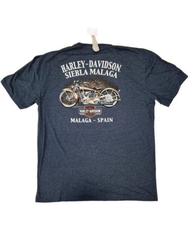 40294704 CAMISETA HARLEY DAVIDSON SIEBLA OFICIAL Strong Arm Fall25