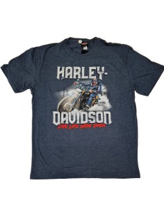 40294704 CAMISETA HARLEY DAVIDSON SIEBLA OFICIAL Strong Arm Fall25