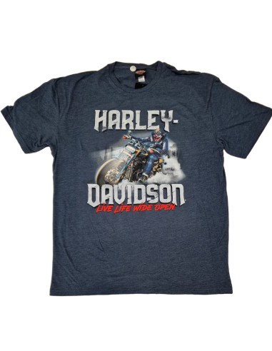 40294704 CAMISETA HARLEY DAVIDSON SIEBLA OFICIAL Strong Arm Fall25