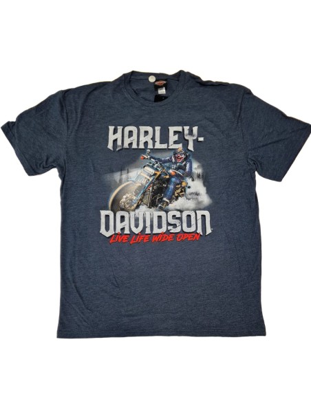 40294704 CAMISETA HARLEY DAVIDSON SIEBLA OFICIAL Strong Arm Fall25