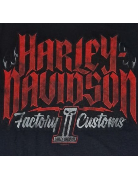 40294705 CAMISETA HARLEY DAVIDSON SIEBLA OFICIAL Inferno Fall25
