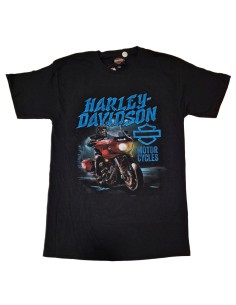 40294706 CAMISETA HARLEY DAVIDSON SIEBLA OFICIAL Hazard Fall25