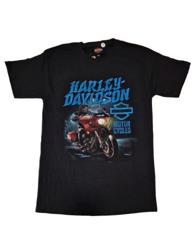 40294706 CAMISETA HARLEY DAVIDSON SIEBLA OFICIAL Hazard Fall25
