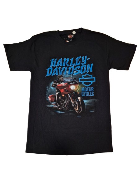40294706 OFFICIAL HARLEY DAVIDSON SIEBLA T-SHIRT Hazard Fall25