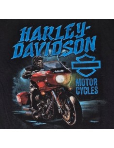 40294706 CAMISETA HARLEY DAVIDSON SIEBLA OFICIAL Hazard Fall25 2