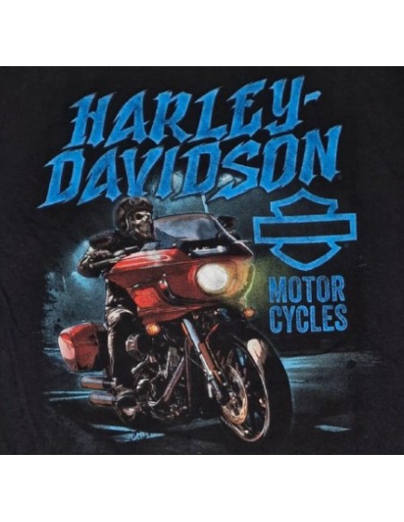 40294706 CAMISETA HARLEY DAVIDSON SIEBLA OFICIAL Hazard Fall25