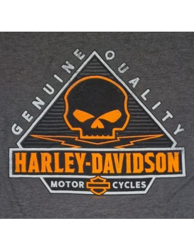 40294708 CAMISETA HARLEY DAVIDSON SIEBLA OFICIAL Wanderer Fall25