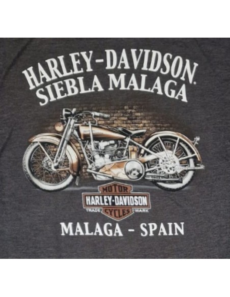 40294708 CAMISETA HARLEY DAVIDSON SIEBLA OFICIAL Wanderer Fall25