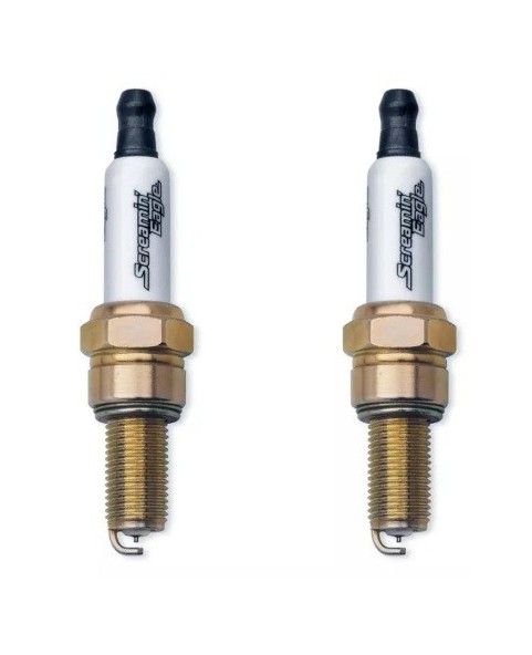 SCREAMIN'EAGLE ST PERF SPARK P