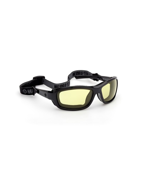 HARLEY DAVIDSON HZ00436501J PHOTOCHROMIC ROVIEX GLASSES