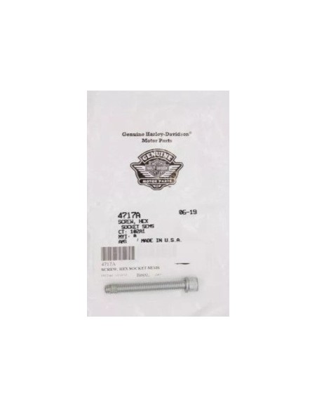 TORNILLO DE FIJACION