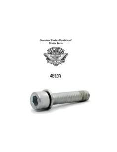 HARLEY DAVIDSON SCREW EX SOCKET EAD CAP 4813A