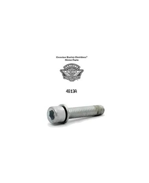HARLEY DAVIDSON SCREW EX SOCKET EAD CAP 4813A