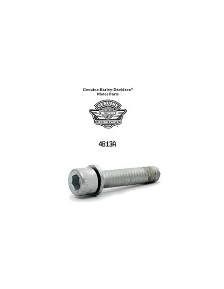 HARLEY DAVIDSON SCREW EX SOCKET EAD CAP 4813A