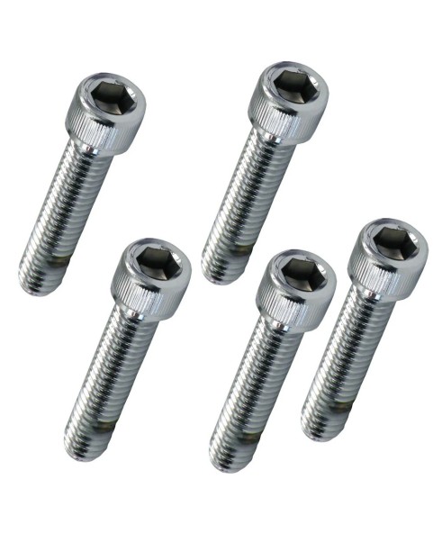 HARLEY DAVIDSON HEXAGONAL BOLTS 1/4"-20 X 1"