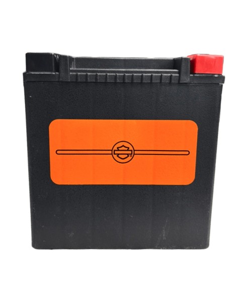HARLEY DAVIDSON SEALED AGM BATTERY 28AH BY TOURING & TRIKE 28AH 66000481