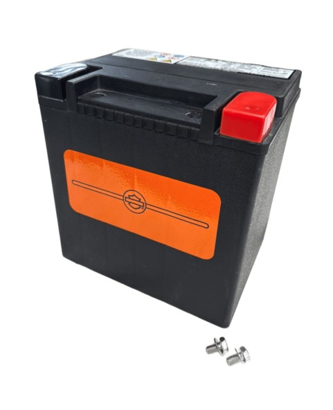 HARLEY DAVIDSON SEALED AGM BATTERY 28AH BY TOURING & TRIKE 28AH