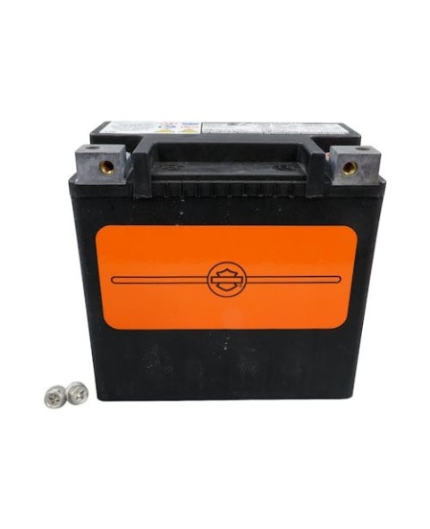 HARLEY DAVIDSON BATTERY SEALED AGM 14.7 AH 225 CCA 66000485