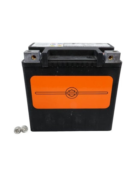 HARLEY DAVIDSON BATTERY SEALED AGM 14.7 AH 225 CCA 66000485