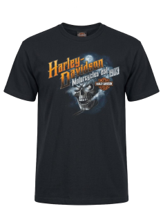 40294702 CAMISETA HARLEY DAVIDSON SIEBLA OFICIAL Haunted Fall25