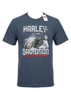 40294704 CAMISETA HARLEY DAVIDSON SIEBLA OFICIAL Strong Arm Fall25
