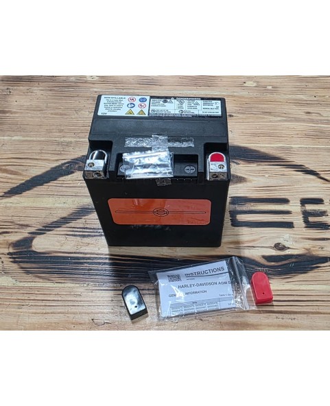 HARLEY DAVIDSON SEALED AGM BATTERY 28AH 66000481