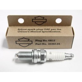 Bujia Original 6R12