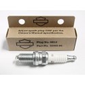 Bujia Original 6R12