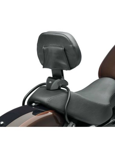 Respaldo del piloto desmontable