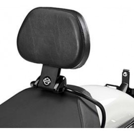 Respaldo del piloto desmontable