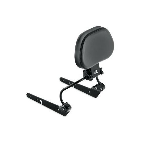 Respaldo del piloto desmontable