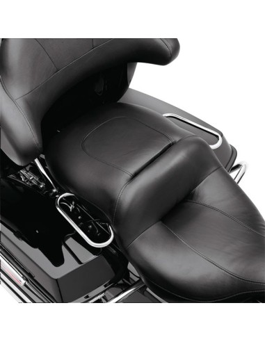 RIEL ASIDERO DEL ACOMPAÑANTE