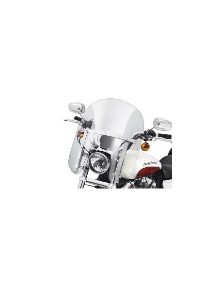 Parabrisas Ahumado con Soportes Pulidos