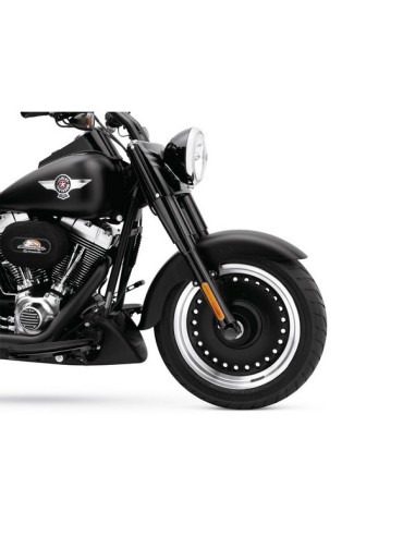 Correderas de la horquilla delantera negro brillante