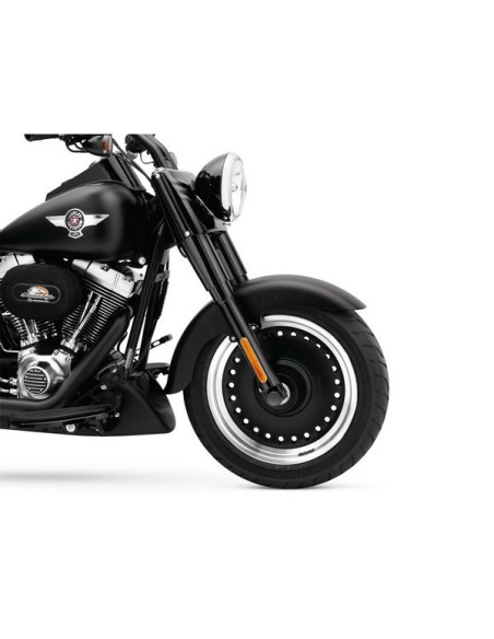 Correderas de la horquilla delantera negro brillante