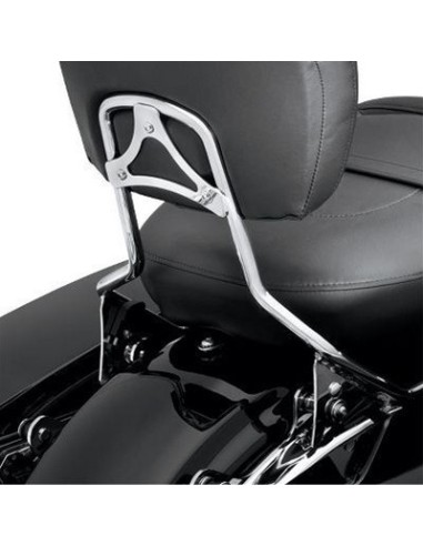 Arco del respaldo estándar cromado