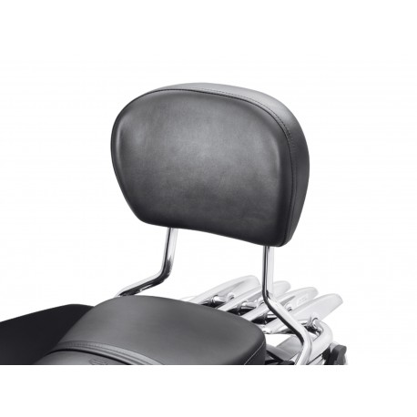 Almohadilla de respaldo trasero estándar de cuero