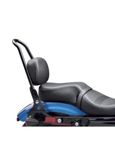 Asiento del acompañante Super Reach