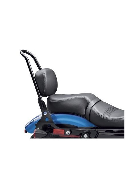 Asiento del acompañante Super Reach