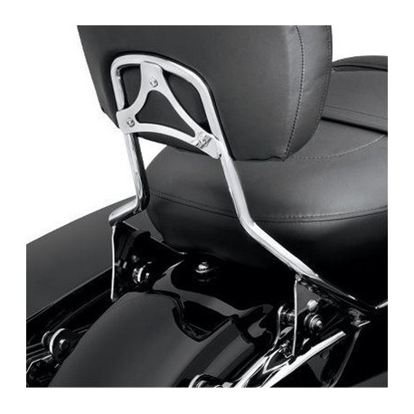 Arco del respaldo estándar cromado