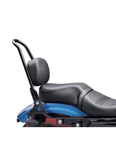 52300364 Almohadilla del respaldo del asiento trasero estilo XL1200X ´16