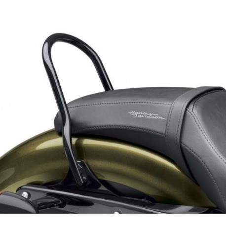 LOW-PROFILE SISSY BAR UPRIGHT - SPORTSTER